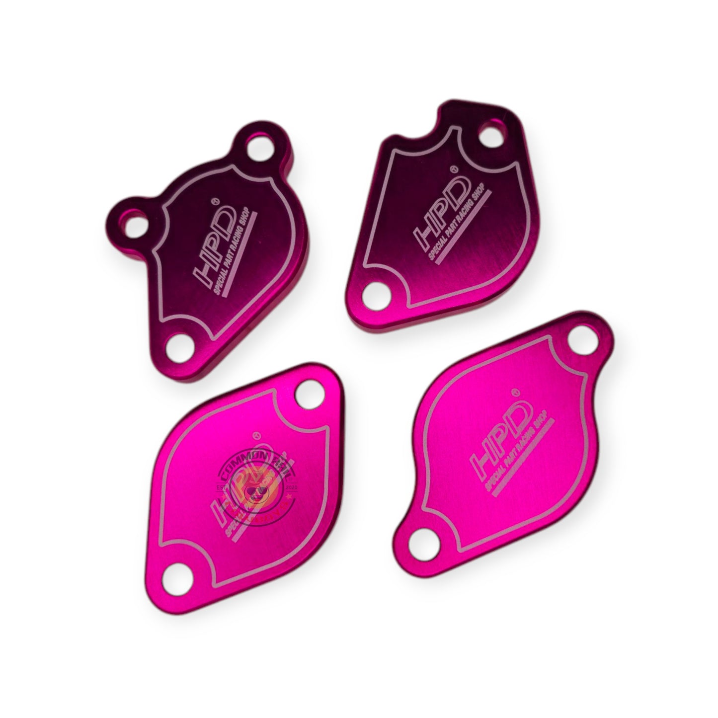 N80 Hilux 1GD EGR Delete Plates