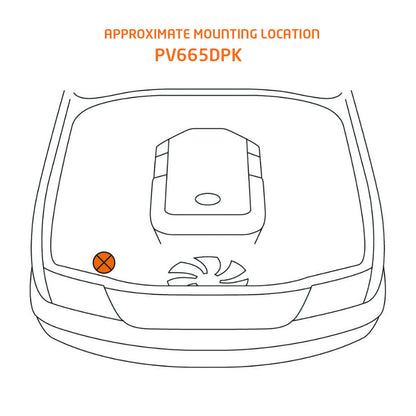 Direction Plus ProVent PV665DPK catch can installed on Ford Ranger 3.2L P5AT, engine bay fitment.
